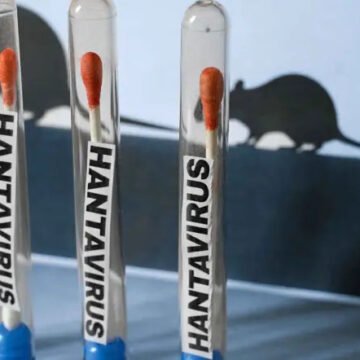 La OMS advirtió que podrían aparecer nuevos casos de hantavirus y justificó las cuarentenas La OMS advirtió que podrían aparecer nuevos casos de hantavirus y justificó las cuarentenas