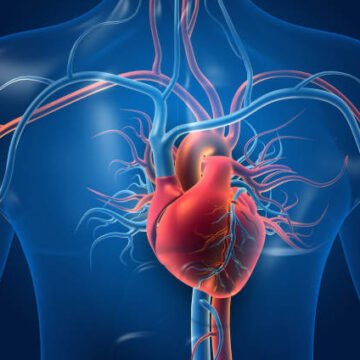 Mundial 2026: cardiólogos alertan sobre los riesgos que puede generar el estrés durante los partidos Mundial 2026: cardiólogos alertan sobre los riesgos que puede generar el estrés durante los partidos