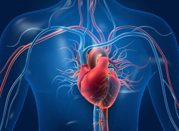 Mundial 2026: cardiólogos alertan sobre los riesgos que puede generar el estrés durante los partidos Mundial 2026: cardiólogos alertan sobre los riesgos que puede generar el estrés durante los partidos