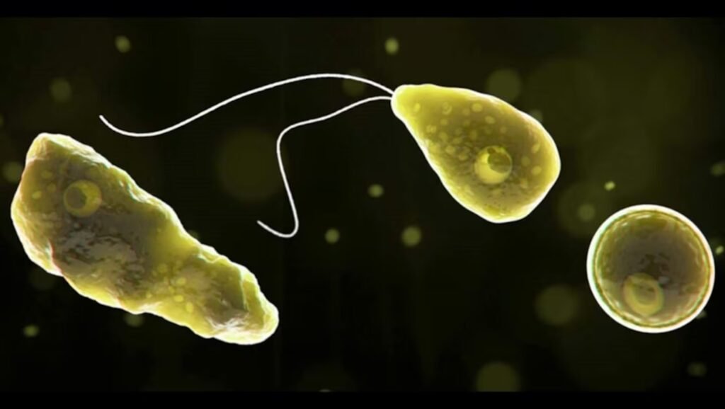 Murió un nene de 10 años en Catamarca por una rara infección causada por la ameba Naegleria fowleri